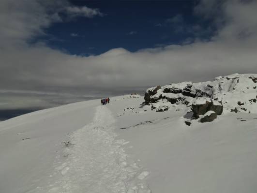 Kili - Blick zurck zum Gipfel