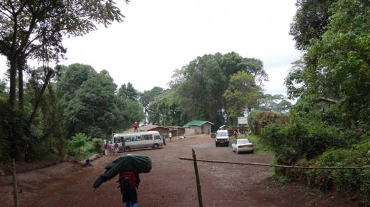 Mweka Gate