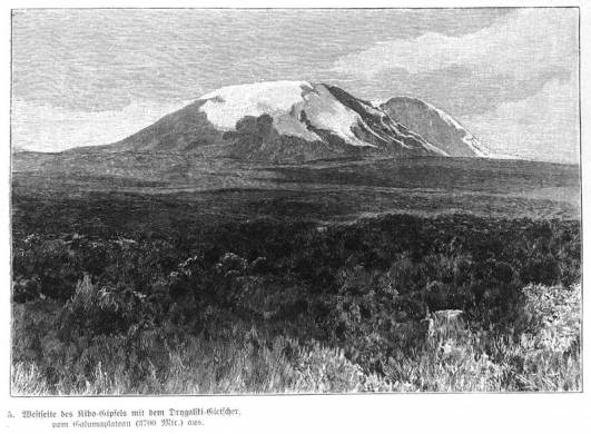 1898 - Der Gipfel mit Drygalski Gletscher