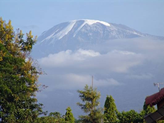 Kilimanjaro von Moshi aus