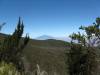 Heide-& Moorlandzone mit Mt.Meru