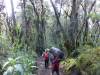 Tag 7 - Regenwald nach Mweka Camp