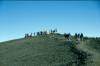 Trail zum Uhuru Peak