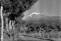 1950er Mount Kilimanjaro.jpg