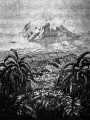 1914 Kibo-Kilimandscharo Walter von Ruckteschell.jpg