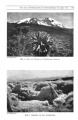 1915 Oehler Kilimandscharo Alpenverein Bd 46 03.jpg