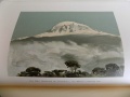 1900 Der Kilimandjaro Dr Hans Meyer 13.jpg