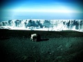 2012 01 15 Kyle Maynard am Kilimanjaro-Gipfel 02 .jpg