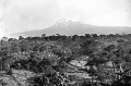 1888 Kilimandjaro Dr Hans Meyer.jpg
