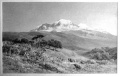 1890 ET-Compton Der Kilimandscharo von Madschame aus 800px.jpg