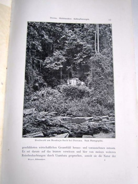 04. Der Kilimandjaro,<br>Prof. Dr. Hans Meyer, Verlag Dietrich Reimer,<br><b>Eine Bildseite</b>
