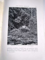 1900 Der Kilimandjaro Dr Hans Meyer 04.jpg