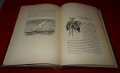 1890 Ostafrikanische Gletscherfahrten Dr Hans Meyer Prachtausgabe 07.jpg