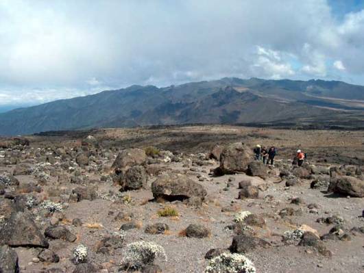 Trail Richtung Lava Tower