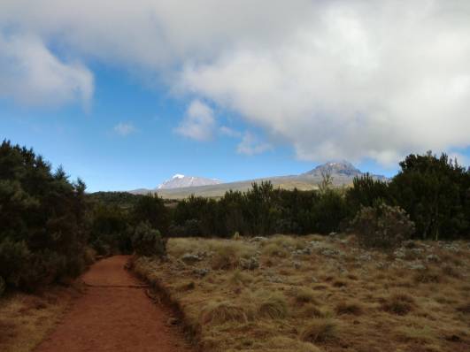 Kili und Mawenzi von unterwegs