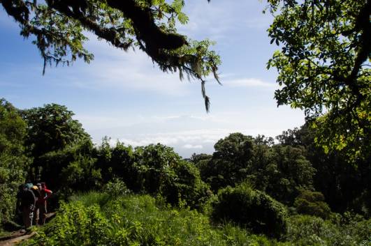 Mt.Meru - Blick zum Kibo