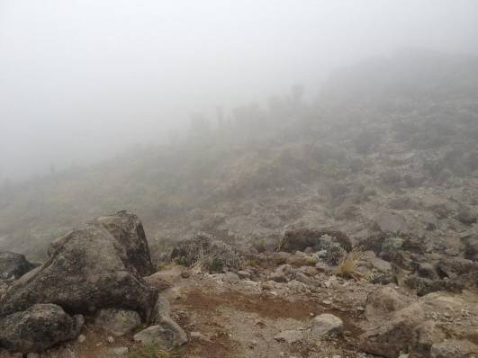 Barranco Camp im Nebel