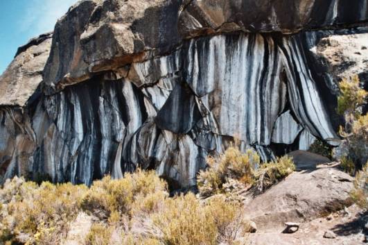 Zebra Rocks