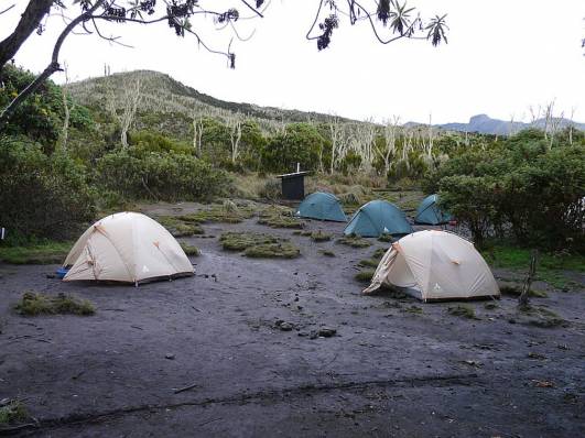 Zelte im Machame-Camp