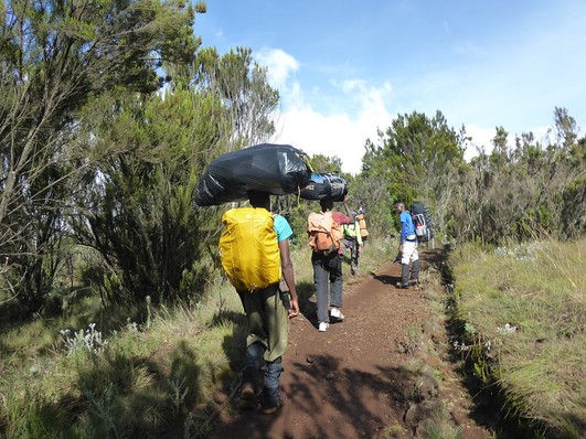 Schwer bepackte Tr&auml;ger am Weg