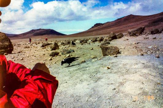 4.Tag: Rast auf dem Kibo Saddle