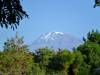 <small><b>Bilder von der Lemosho Route aus dem Kilimanjaro-Gipfelbuch-Eintrag-Nr.: 266</b><br>Eintrag-Titel : 2 Nordlichter auf dem Dach Afrikas von Thiemann vom 2013-02-09 16:28:53<br><b>Bild-Beschreibung : ein geiler Berg</b></small>