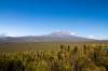 <small><b>Bilder von der Lemosho Route aus dem Kilimanjaro-Gipfelbuch-Eintrag-Nr.: 340</b><br>Eintrag-Titel : 6. Aufstieg (2014) - Den Kibo umrundet ! von Rüdiger Achtenberg vom 2014-07-26 14:41:39<br><b>Bild-Beschreibung : erster Kiboblick vor Shira 1</b></small>