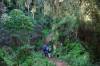<small><b>Bilder von der Lemosho Route aus dem Kilimanjaro-Gipfelbuch-Eintrag-Nr.: 376</b><br>Eintrag-Titel : World Vision Spendentour - März 2016 von Dr. Manuela Preuschl vom 2016-06-21 17:08:20<br><b>Bild-Beschreibung : Aufstieg Shira Plateau</b></small>