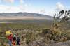 <small><b>Bilder von der Lemosho Route aus dem Kilimanjaro-Gipfelbuch-Eintrag-Nr.: 321</b><br>Eintrag-Titel : Norberts Lemosho-Tour August 2013 von Norbert Moser vom 2013-12-25 16:37:53<br><b>Bild-Beschreibung : Das Shira Plateau</b></small>