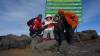 <small><b>Bilder von der Machame Route aus dem Kilimanjaro-Gipfelbuch-Eintrag-Nr.: 257</b><br>Eintrag-Titel : Kilimanjaro Besteigung im November 2012 von Grazyna und Jan Grabka vom 2012-12-04 19:48:05<br><b>Bild-Beschreibung : Joseph wir und Johny</b></small>