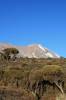 <small><b>Bilder von der Machame Route aus dem Kilimanjaro-Gipfelbuch-Eintrag-Nr.: 208</b><br>Eintrag-Titel : Von der Küste Frieslands aufs Dach Afrikas von Anne Ploeger vom 2010-09-07 18:16:03<br><b>Bild-Beschreibung : Western Breach</b></small>