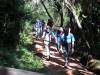 <small><b>Bilder von der Marangu Route aus dem Kilimanjaro-Gipfelbuch-Eintrag-Nr.: 59</b><br>Eintrag-Titel : Mit 16-köpfiger Gruppe zum Uhuru Peak von Helmut Baltes vom 2003-08-31 10:24:21<br><b>Bild-Beschreibung : im Regenwald</b></small>