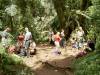 <small><b>Bilder von der Machame Route aus dem Kilimanjaro-Gipfelbuch-Eintrag-Nr.: 24</b><br>Eintrag-Titel : Tausend Tode gestorben von Michael Friedrichs vom 2001-10-25 05:44:00<br><b>Bild-Beschreibung : Rast im Regenwald</b></small>