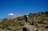 <small><b>Bilder von der Marangu Route aus dem Kilimanjaro-Gipfelbuch-Eintrag-Nr.: 215</b><br>Eintrag-Titel : Erste Kibo-Besteigung im Febr. 1997 von Karl Pfeifer vom 2011-07-17 17:03:20<br><b>Bild-Beschreibung : Abmarsch von Horombo</b></small>