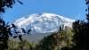 <small><b>Bilder von der Machame Route aus dem Kilimanjaro-Gipfelbuch-Eintrag-Nr.: 317</b><br>Eintrag-Titel : a dream becomes true - and everything i never dared to dream. von Martin vom 2013-11-03 18:33:14<br><b>Bild-Beschreibung : Der Kili im Abstieg</b></small>