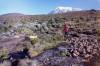 <small><b>Bilder von der Marangu Route aus dem Kilimanjaro-Gipfelbuch-Eintrag-Nr.: 1</b><br>Eintrag-Titel : Gipfelsieg im afrikanischen Winter 1997 von Detlev Kostka vom 2000-02-24 18:00:00<br><b>Bild-Beschreibung : 4.Tag: Last Water auf der Lower Route</b></small>