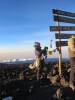 <small><b>Bilder von der Kikeleva Route aus dem Kilimanjaro-Gipfelbuch-Eintrag-Nr.: 366</b><br>Eintrag-Titel : Kili-Besteigung via Kikeleva März 2015 von Danni B. & Uwe K. vom 2015-09-08 18:37:03<br><b>Bild-Beschreibung : Eine Gebetsfahne für meine Mum!</b></small>