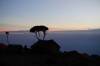 <small><b>Bilder von der Machame Route aus dem Kilimanjaro-Gipfelbuch-Eintrag-Nr.: 389</b><br>Eintrag-Titel : Meine Kilimanjaro Besteigung im August 2017 von Jens Radicke vom 2017-10-07 16:44:01<br><b>Bild-Beschreibung : Abendstimmung Shira Cave Camp</b></small>