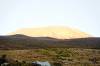 <small><b>Bilder von der Kikeleva Route aus dem Kilimanjaro-Gipfelbuch-Eintrag-Nr.: 225</b><br>Eintrag-Titel : Keine losen Dachziegel auf dem Dach Afrikas von Heinrich Bernreuther vom 2011-11-19 19:29:36<br><b>Bild-Beschreibung : Alpenglühen am Kibo</b></small>