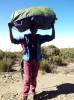 <small><b>Bilder von der Marangu Route aus dem Kilimanjaro-Gipfelbuch-Eintrag-Nr.: 307</b><br>Eintrag-Titel : Kibo Besteigung September 2013 von Frank Flammersberger vom 2013-09-24 11:02:27<br><b>Bild-Beschreibung : Träger</b></small>