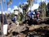 <small><b>Bilder von der Machame Route aus dem Kilimanjaro-Gipfelbuch-Eintrag-Nr.: 268</b><br>Eintrag-Titel : Kilimanjaro - einen Lebenstraum geschafft von Ines Voigtle vom 2013-02-16 19:36:22<br><b>Bild-Beschreibung : Die Träger</b></small>
