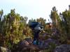 <small><b>Bilder von der Machame Route aus dem Kilimanjaro-Gipfelbuch-Eintrag-Nr.: 347</b><br>Eintrag-Titel : Meine Kibo-Besteigung  2014 von Thomas Grundner vom 2014-10-05 01:13:24<br><b>Bild-Beschreibung : 20kg auf Kopf und 10 Kg auf Rücken</b></small>