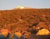 <small><b>Bilder von der Marangu Route aus dem Kilimanjaro-Gipfelbuch-Eintrag-Nr.: 354</b><br>Eintrag-Titel : -Kilimanjaro- Uhuru Peak am 01.01.2011 von Dirk Sinkwitz vom 2015-02-04 21:20:07<br><b>Bild-Beschreibung : Zelte an den Horombo Hütten</b></small>