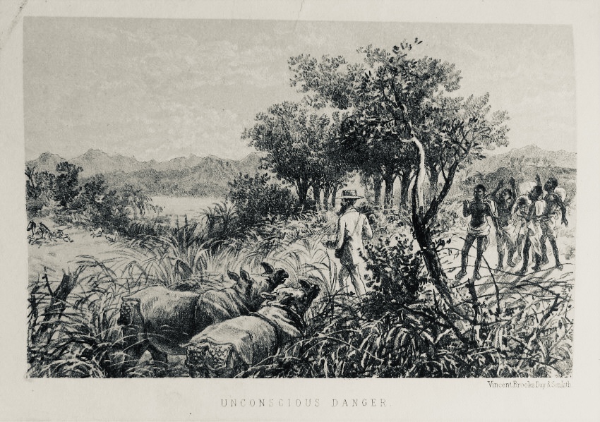 1872 - Charles New - Life, Wanderings and Labours in Eastern Africa - Unconscious Danger