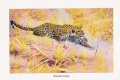 Afrikanischer Leopard Panthera pardus Farbdruck von 1915 Wilhelm Kuhnert.jpg