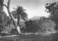 1910 Kilimandscharo von Moshi AK 800x574px.jpg