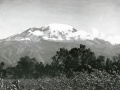 1920 english-photographer-mount-kilimanjaro 800x600px.jpg