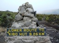 2010 Lower Route To Kibo Hut.jpg