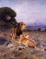 1911 Wilhelm Kuhnert African Lions.jpg