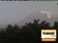 2011 02 19 kilimanjaro webcam.jpg